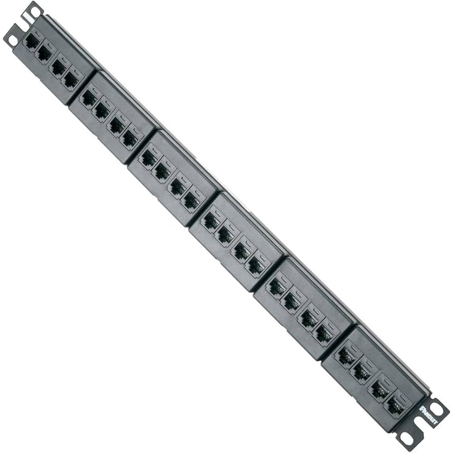 CPPK24BLY 2個セット Amazon.co.jp: パンドウイット Cat5eモジュラーパッチパネル